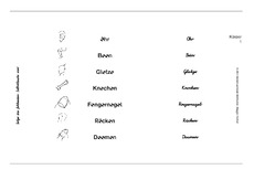 Körper1-3.pdf